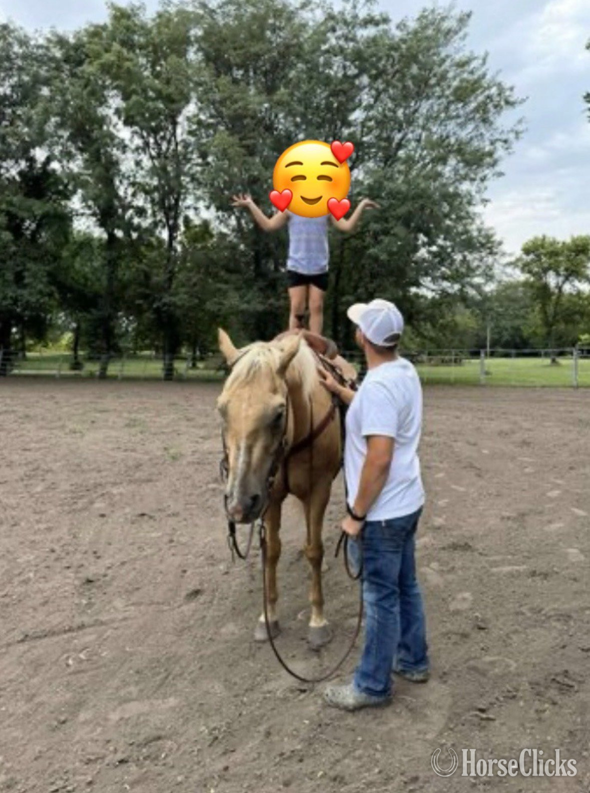 Quarter Horse - "Lovin the Spotlight "Amarillo"" Palomino Gelding Quarter Horse in Missouri