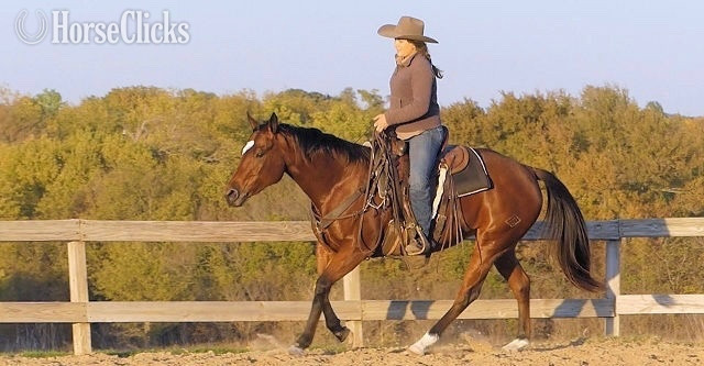 "Betty"  Mare Quarter Horse in Washington