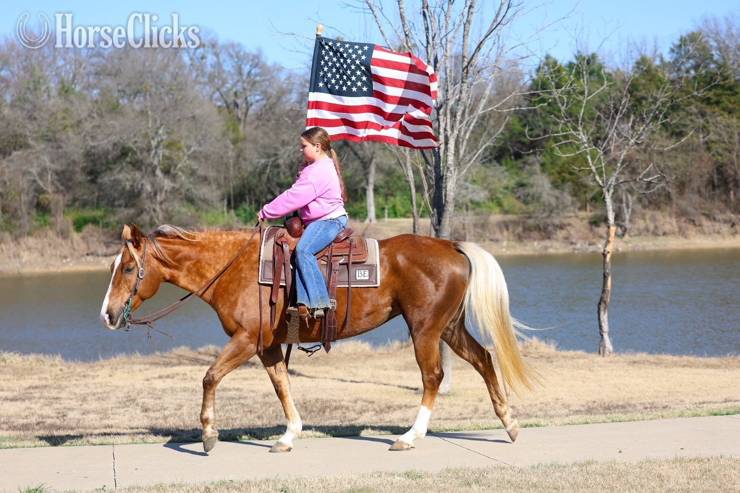 "DOLLY PARTNER" Palomino Mare Quarter Horse Texas