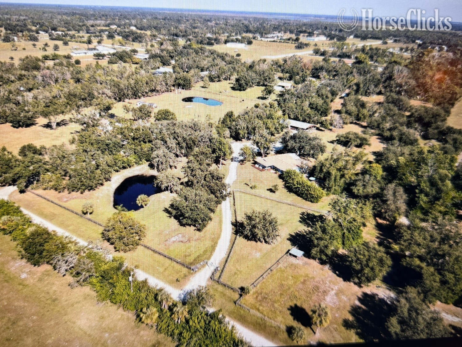 Florida Horse Owner's Dream Rental