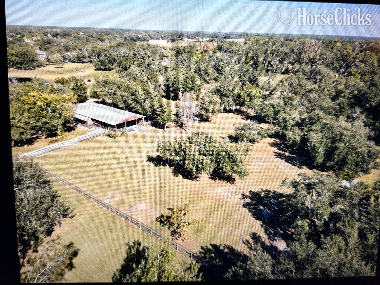 Horse Owner's Dream Rental - Ranch in Florida