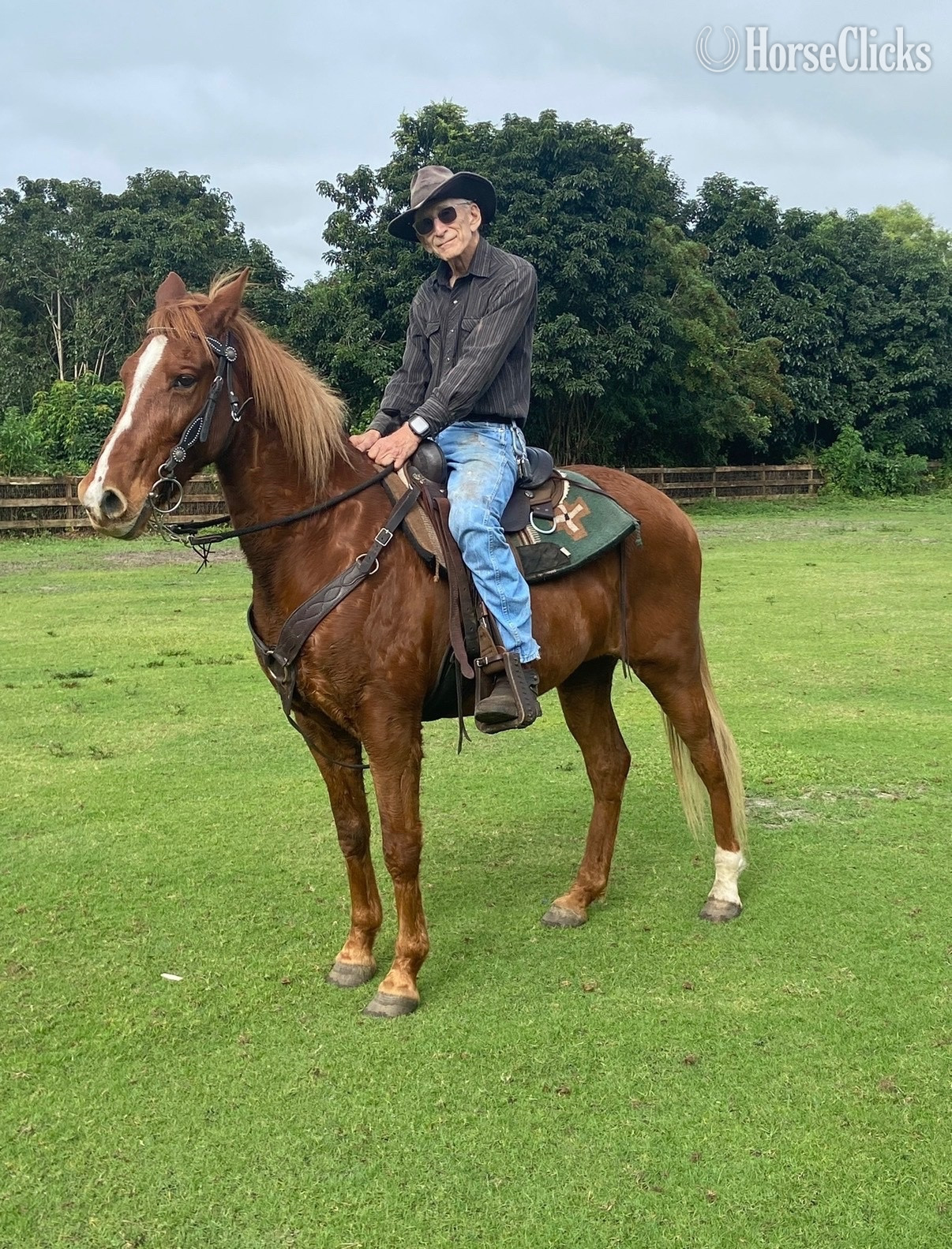 "Shyla Rose" Chestnut Mare Kentucky Mountain in Florida