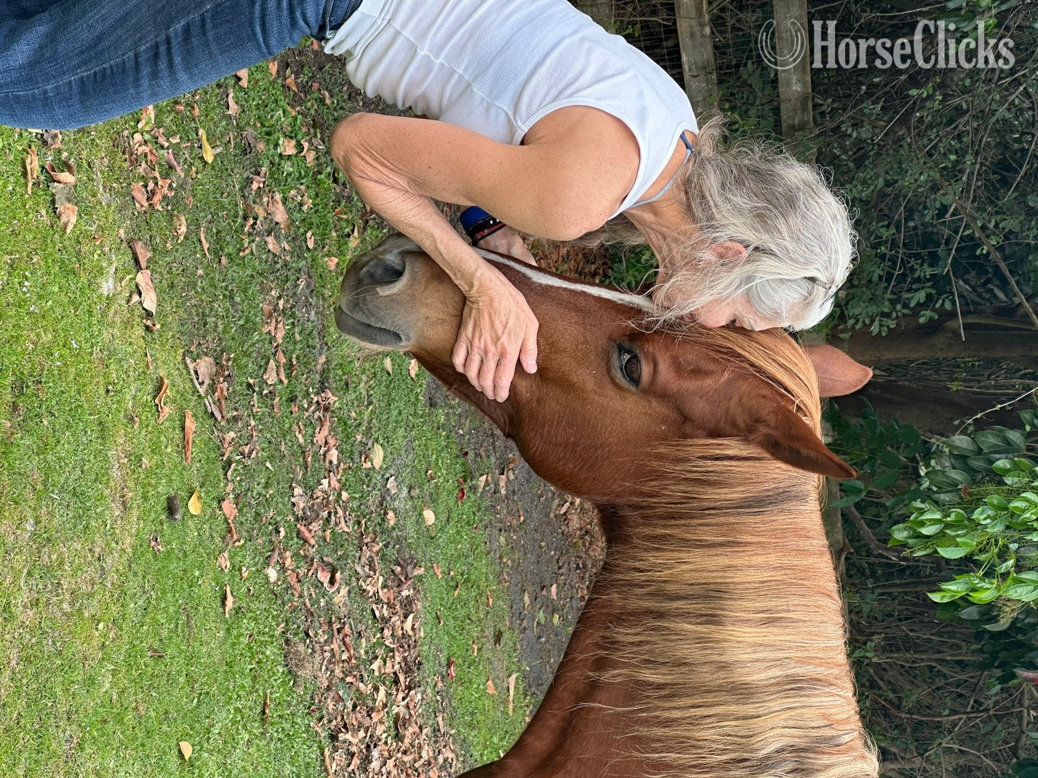 Florida "Shyla Rose" Chestnut Mare Kentucky Mountain