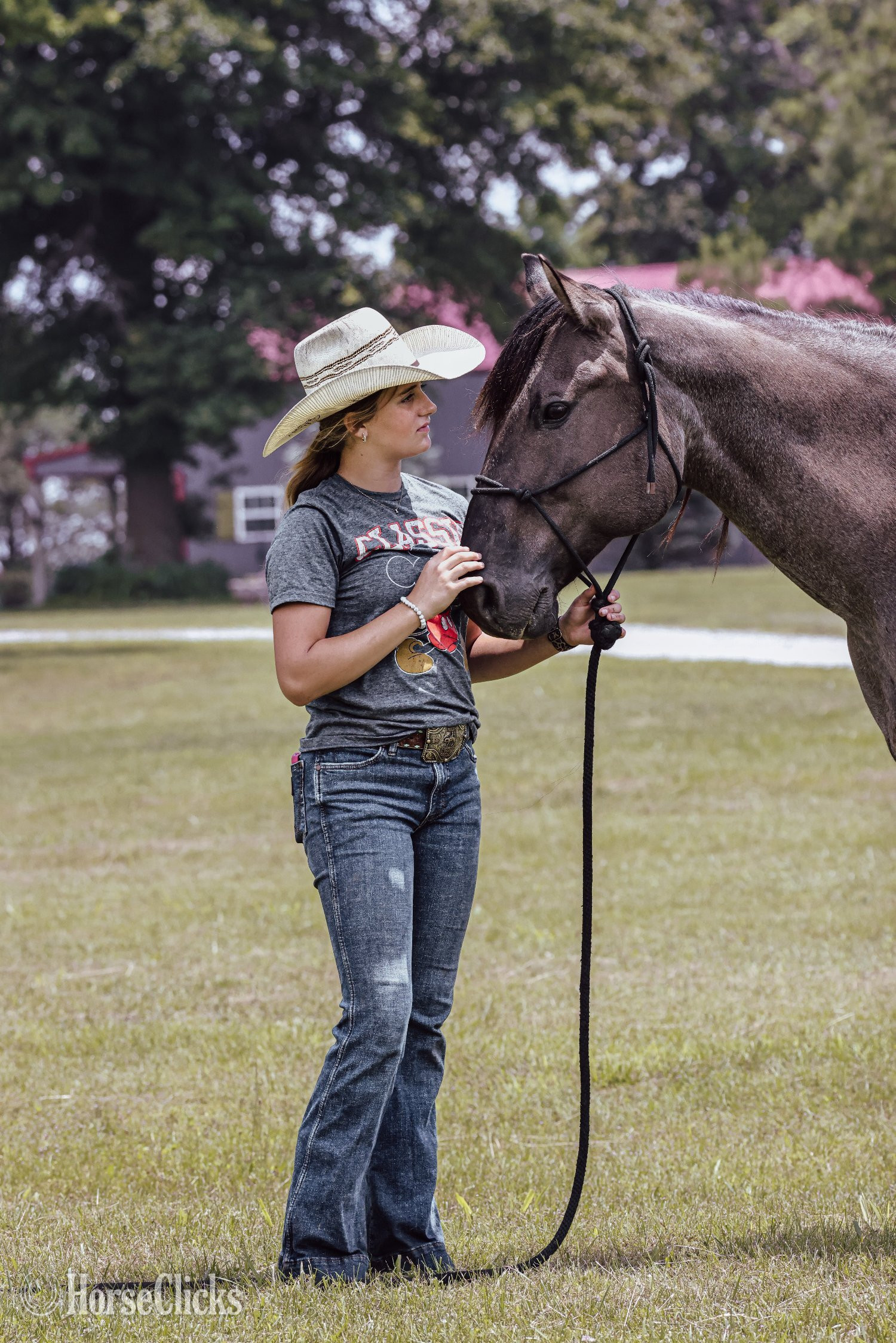 "Blue" Blue Roan Gelding Quarter Horse - Quarter Horse