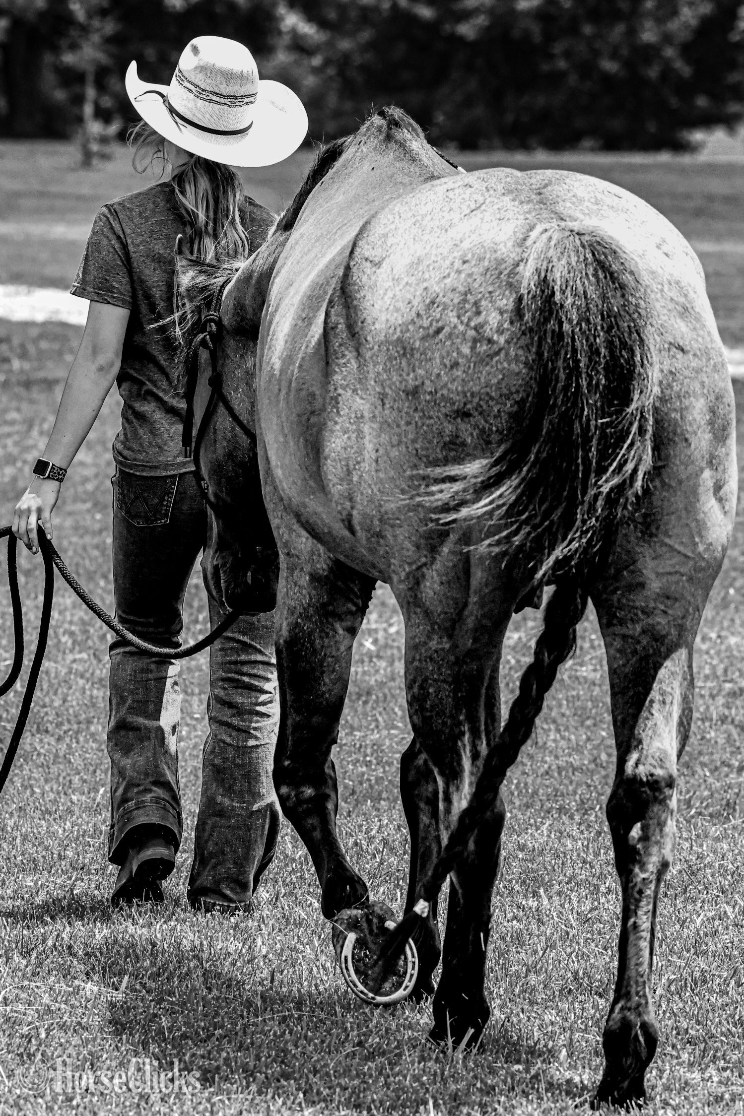 "Blue" Blue Roan Gelding Quarter Horse Missouri