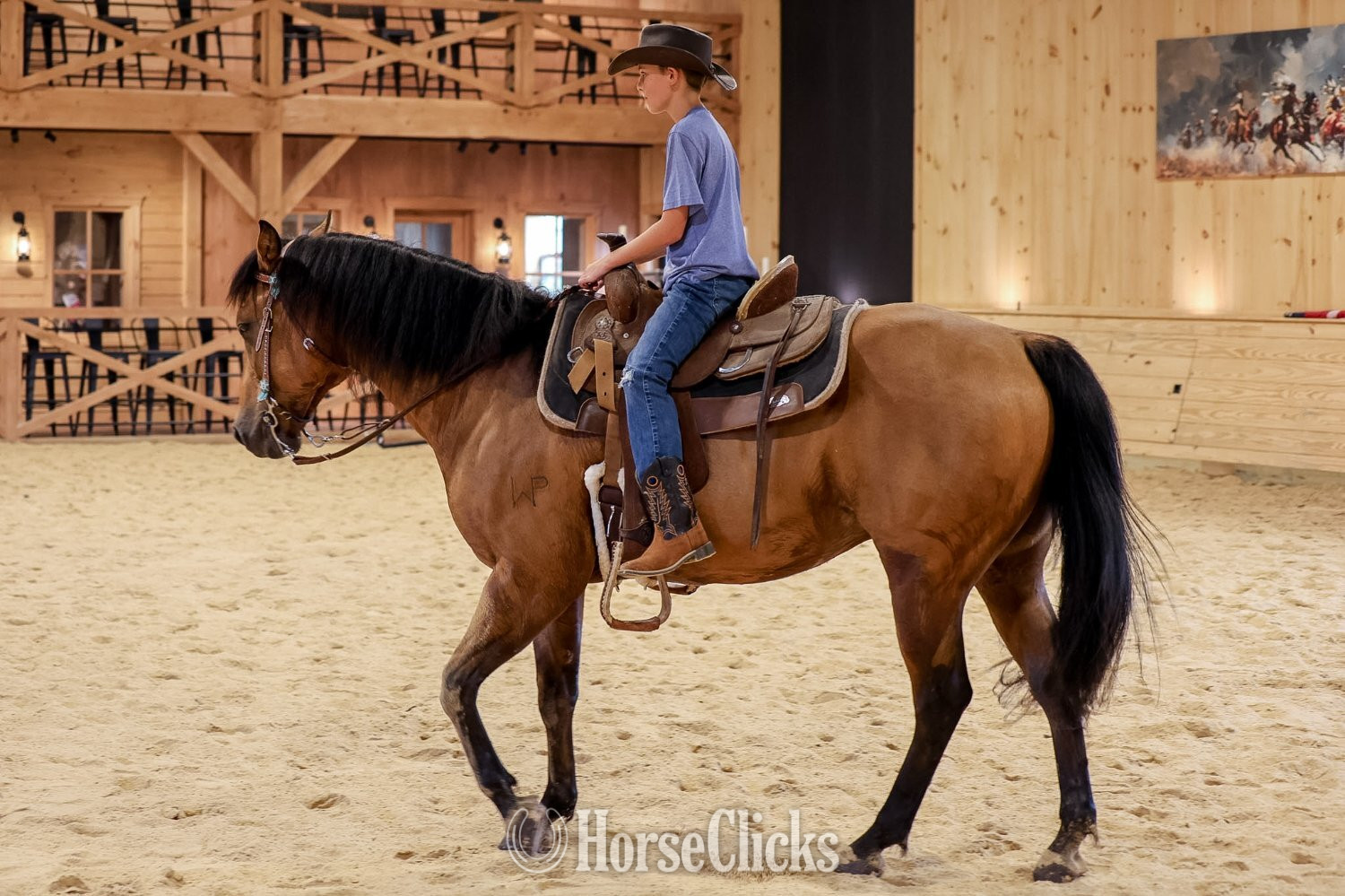 "CONCHO" Buckskin Gelding Quarter Horse - Quarter Horse