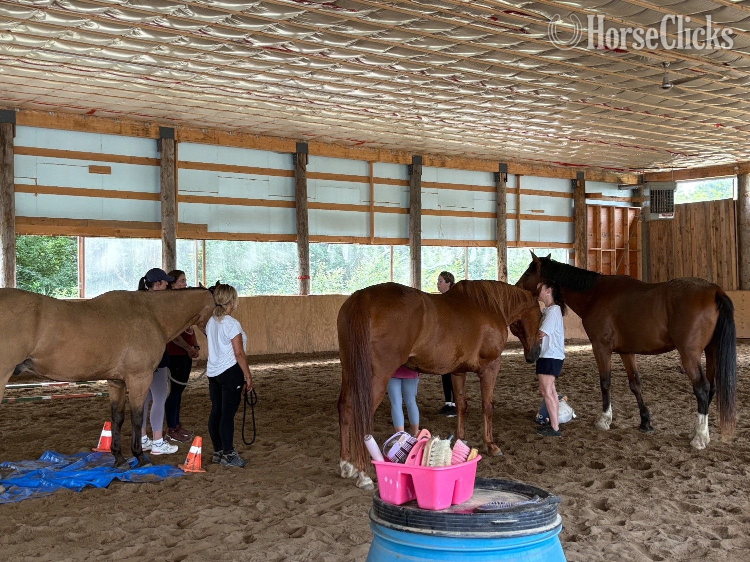 "Illyano" Bay Gelding Holsteiner - Holsteiner