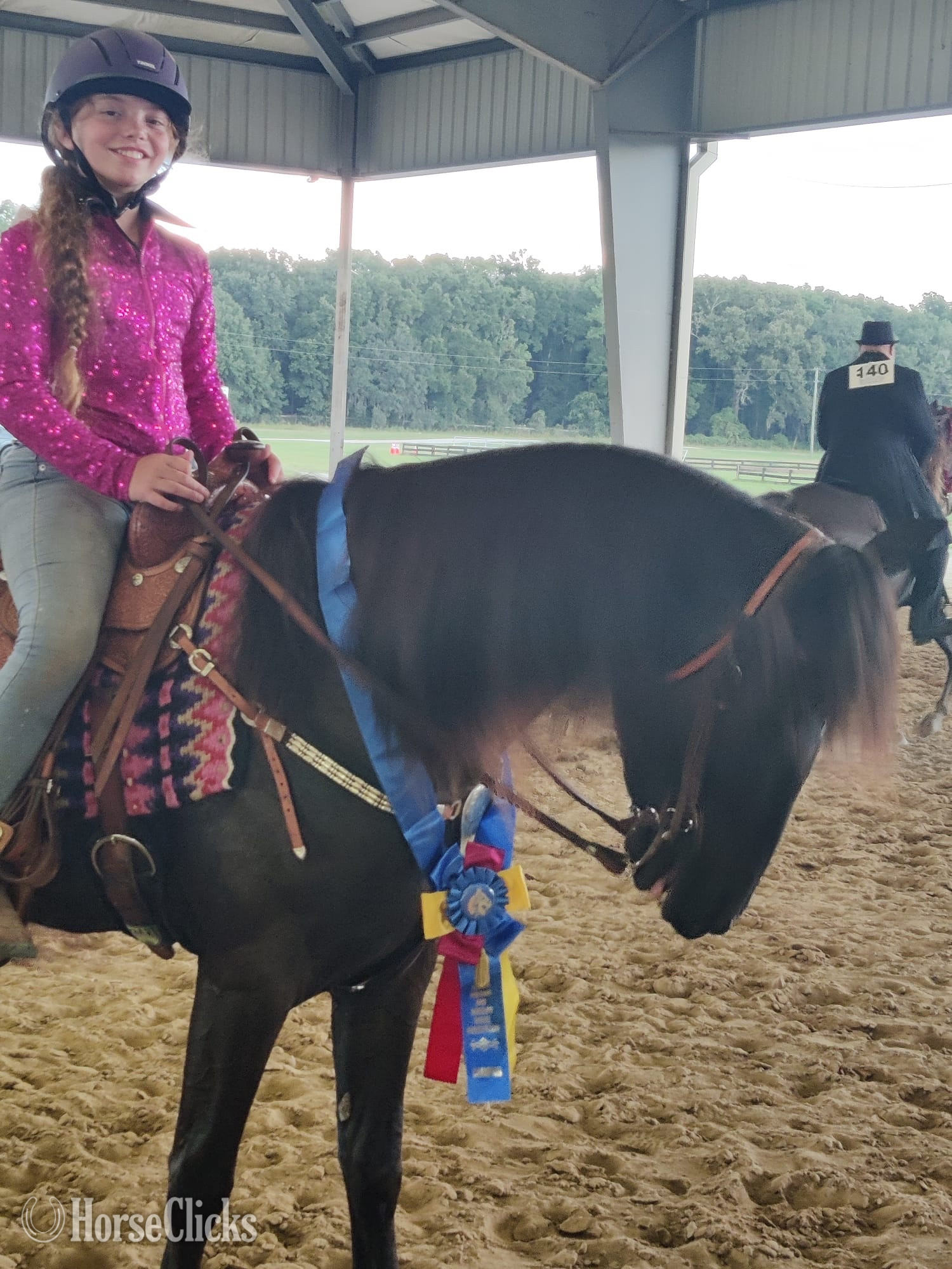 Florida "He’s Dilly Dilly" Black Gelding Tennessee Walker