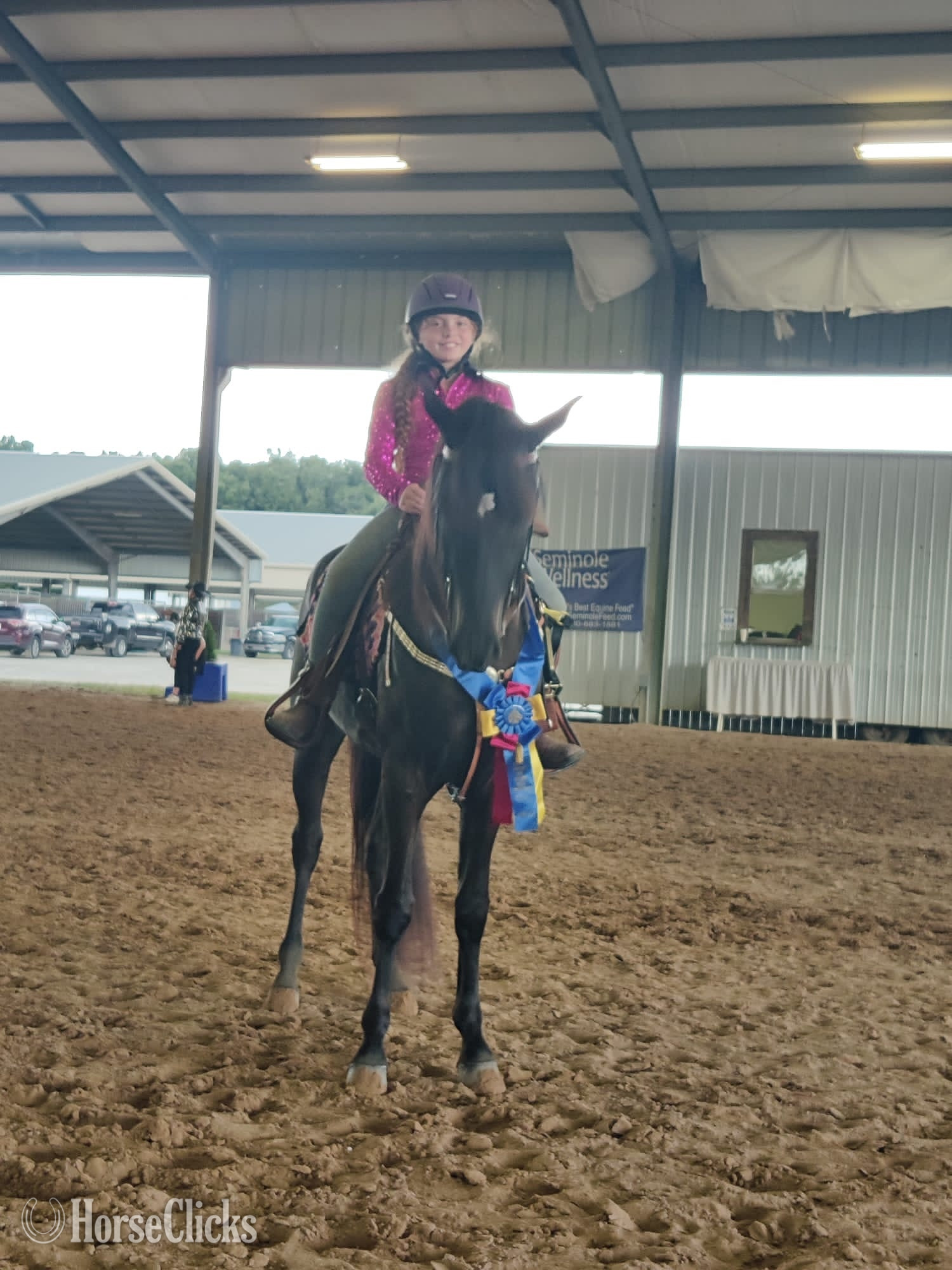 "He’s Dilly Dilly" Black Gelding Tennessee Walker - Tennessee Walker in Florida
