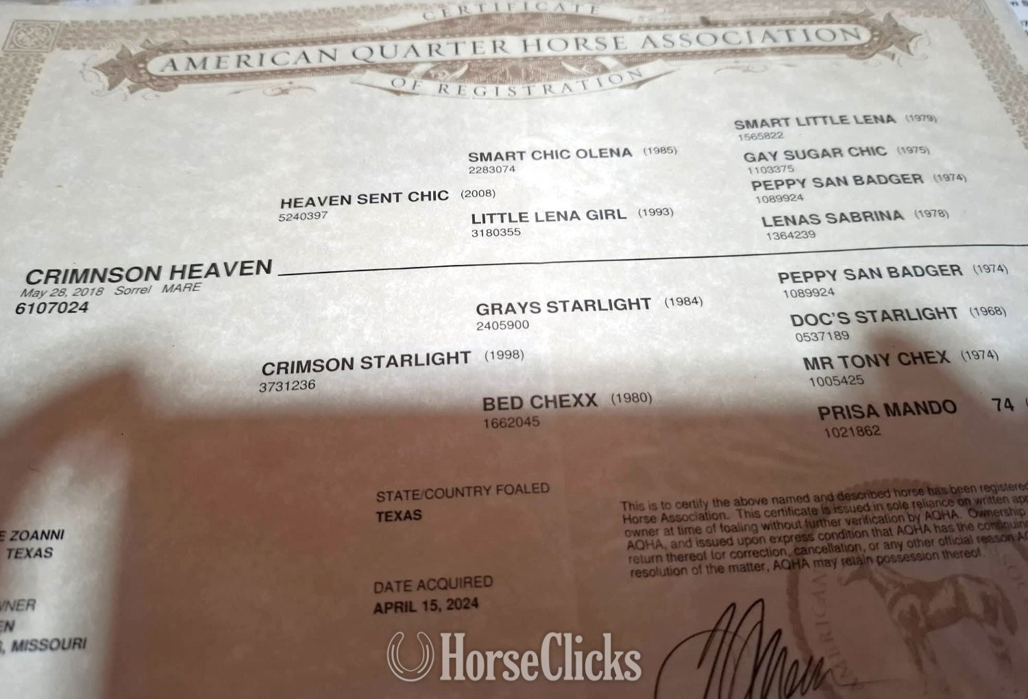 "Crimnson Heaven" Sorrel Mare Quarter Horse - Quarter Horse in Colorado