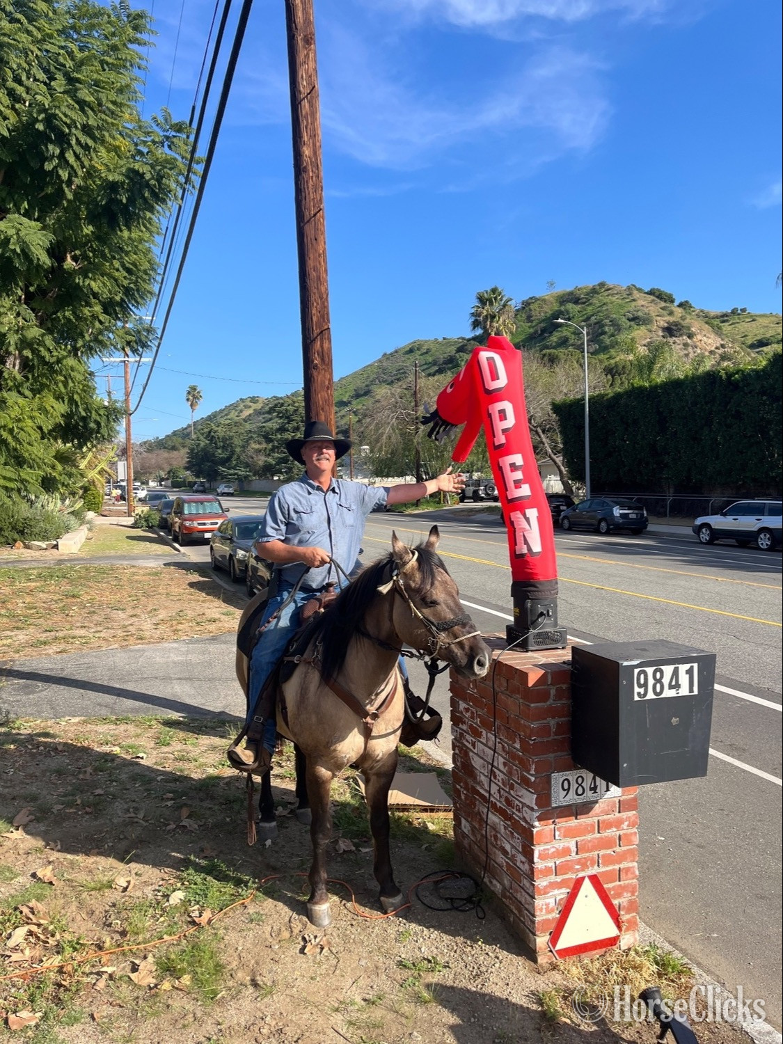 California "Slater" Grullo Gelding Quarter Horse