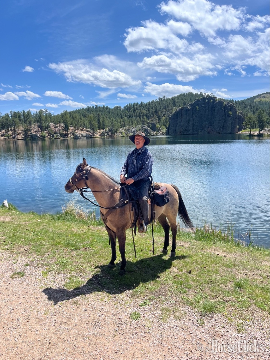 Quarter Horse - "Slater" Grullo Gelding Quarter Horse