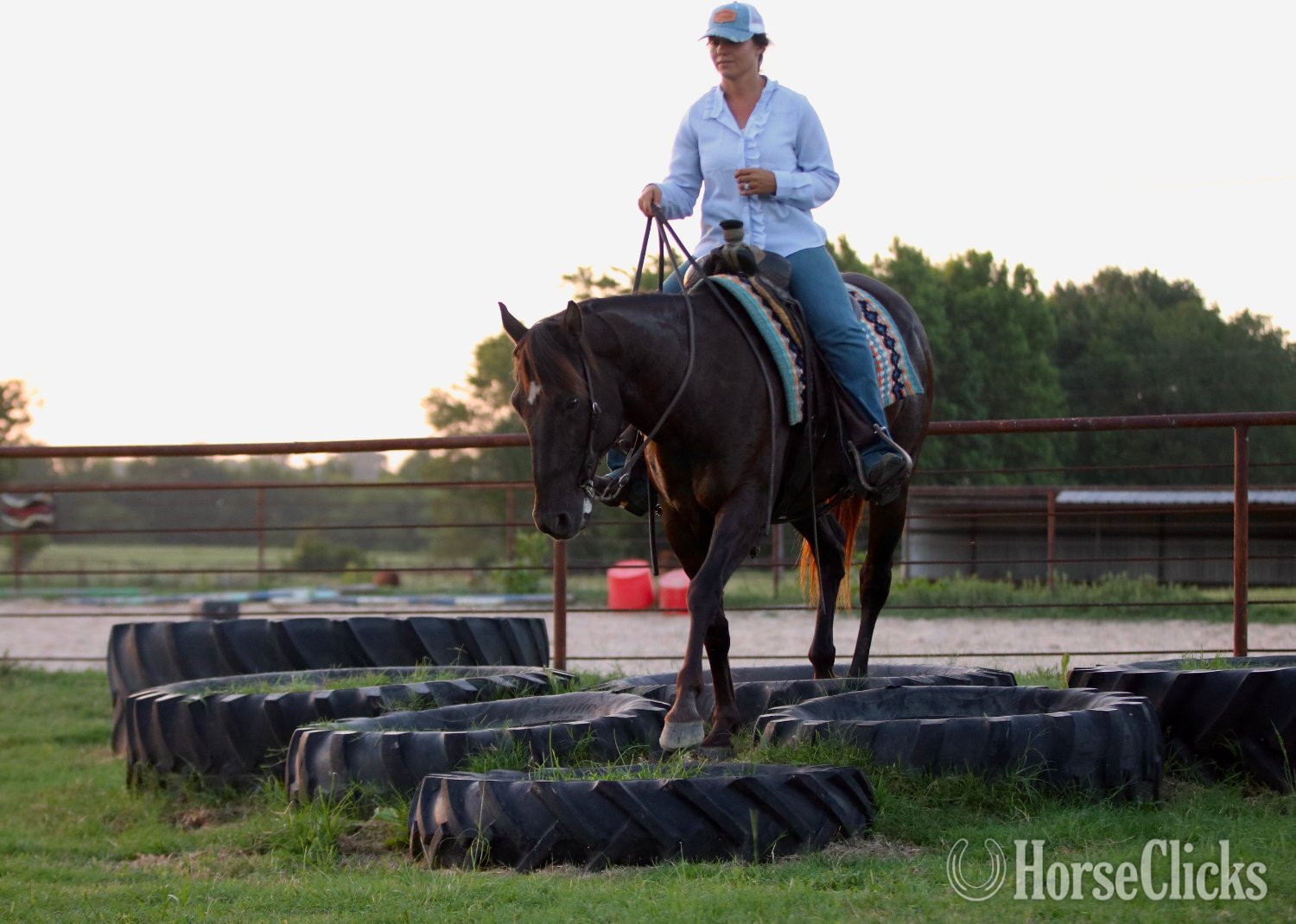 "RAGU" Black Gelding Quarter Horse - Quarter Horse
