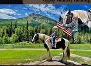 "Banner" Black Gelding Gypsy Vanner