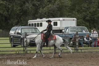 "SADIE" Grey Mare Quarter Horse Michigan