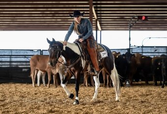 "A Pepto Lena Summer" Bay Mare Paint
