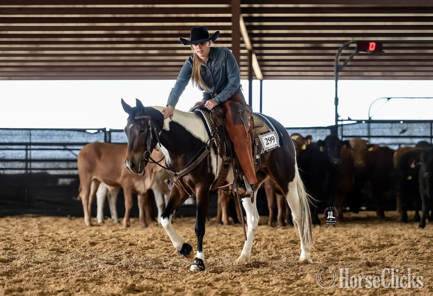 "A Pepto Lena Summer" Bay Mare Paint in Texas