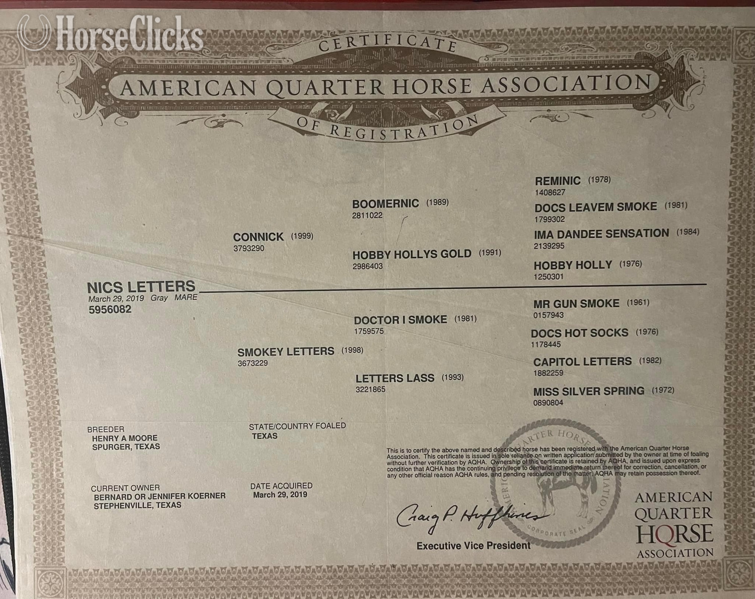 "NiCS Letters" Grey Mare Quarter Horse in Texas
