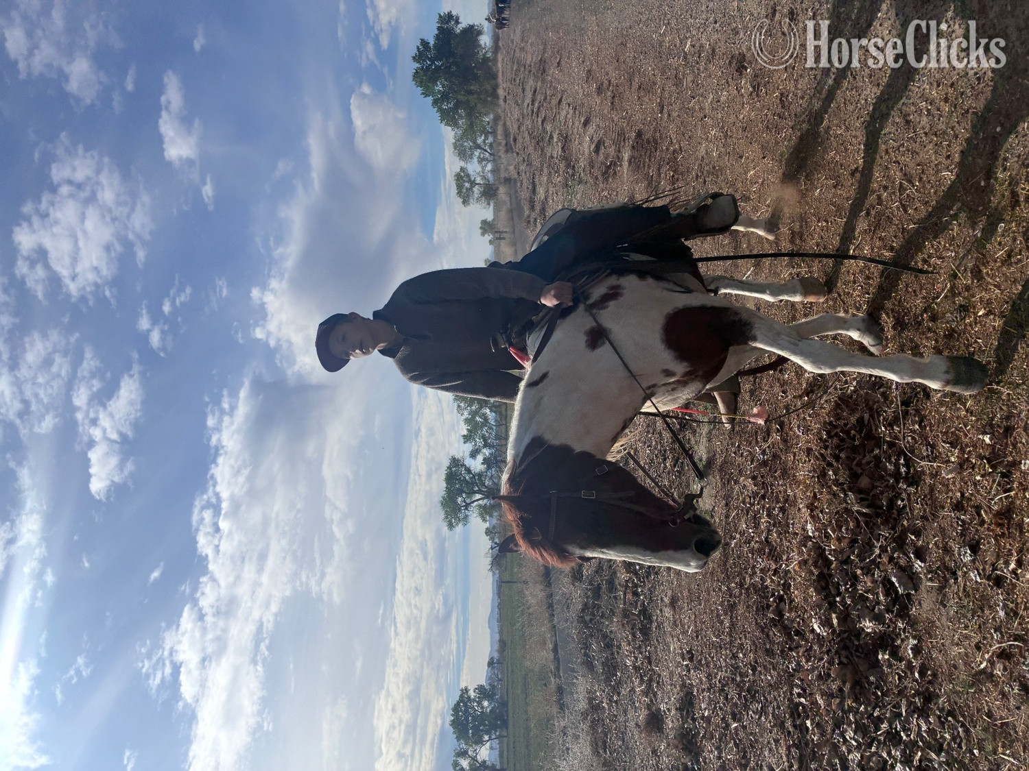"Felicia" Pinto Mare Quarter Horse in Nevada
