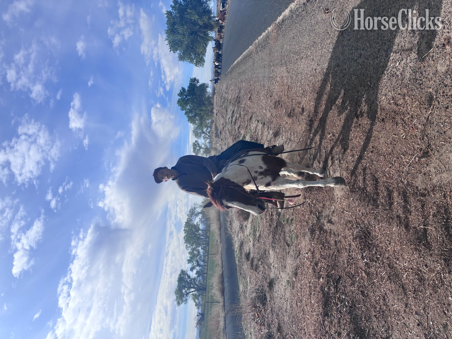 "Felicia" Pinto Mare Quarter Horse