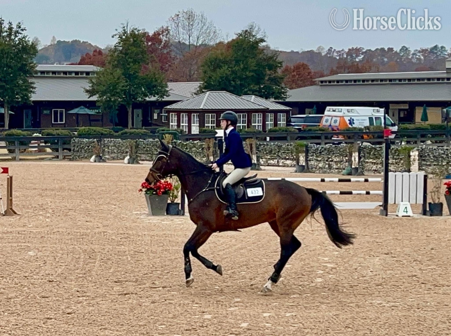 "" Chestnut Gelding Thoroughbred