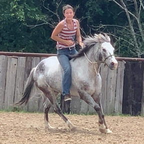 "Neti" Blue Roan Gelding POA