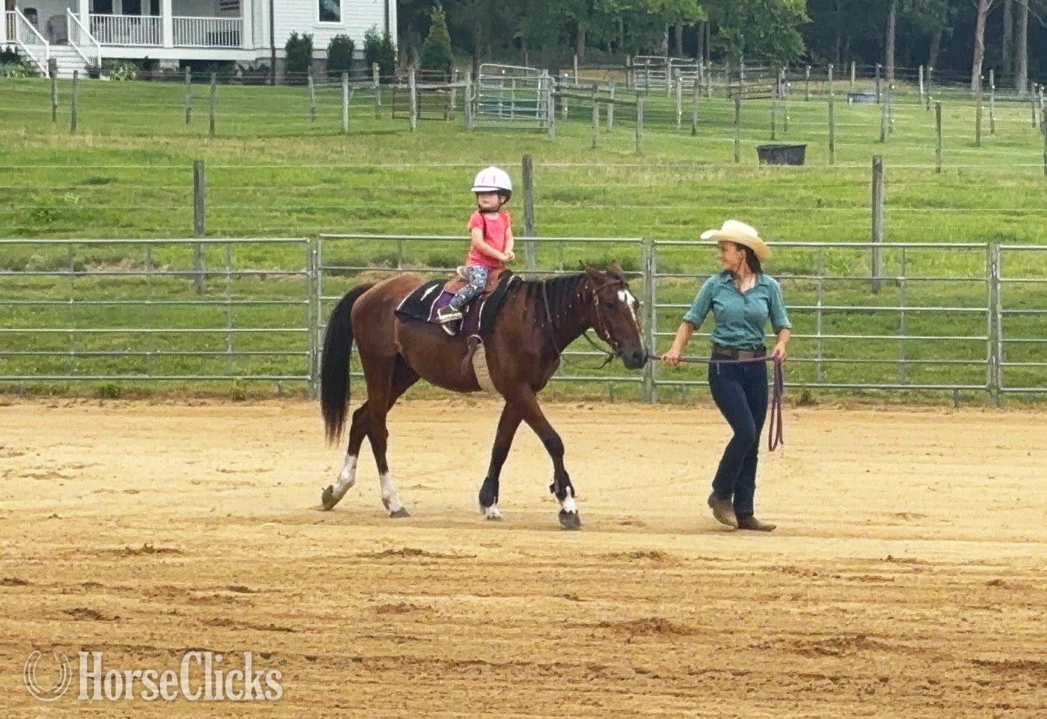 "Rebel Traveler" Bay Gelding Mustang Tennessee