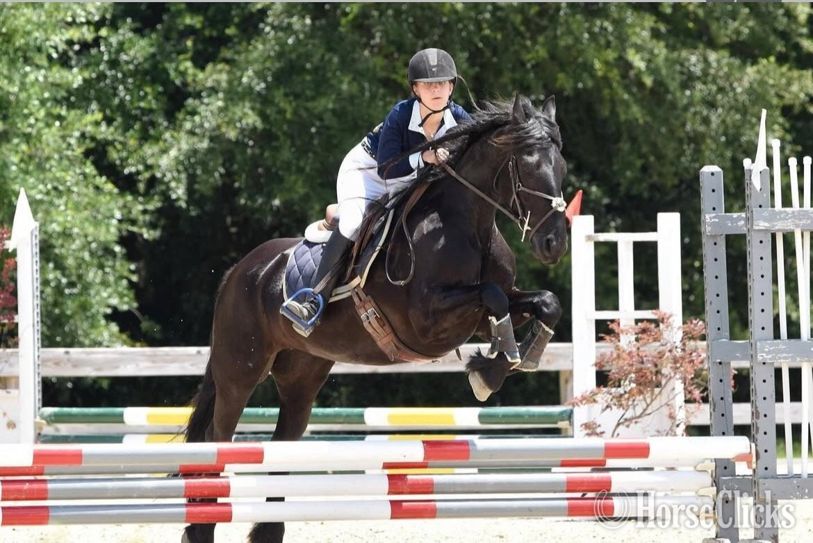 "Keva" Black Mare Friesian in North Carolina