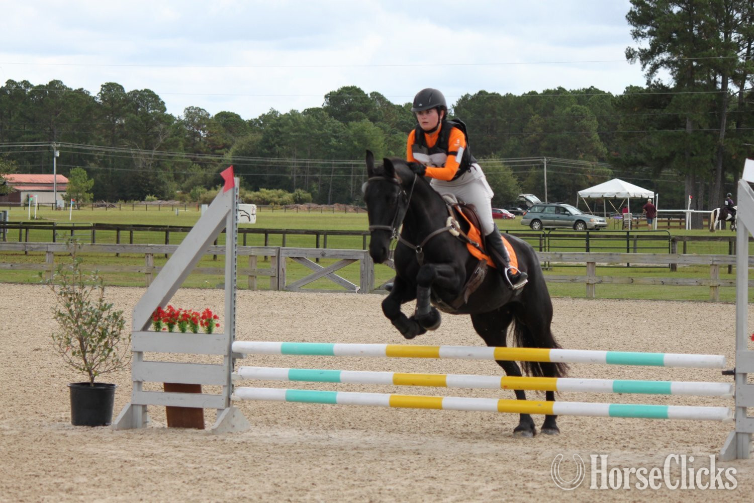 "Keva" Black Mare Friesian