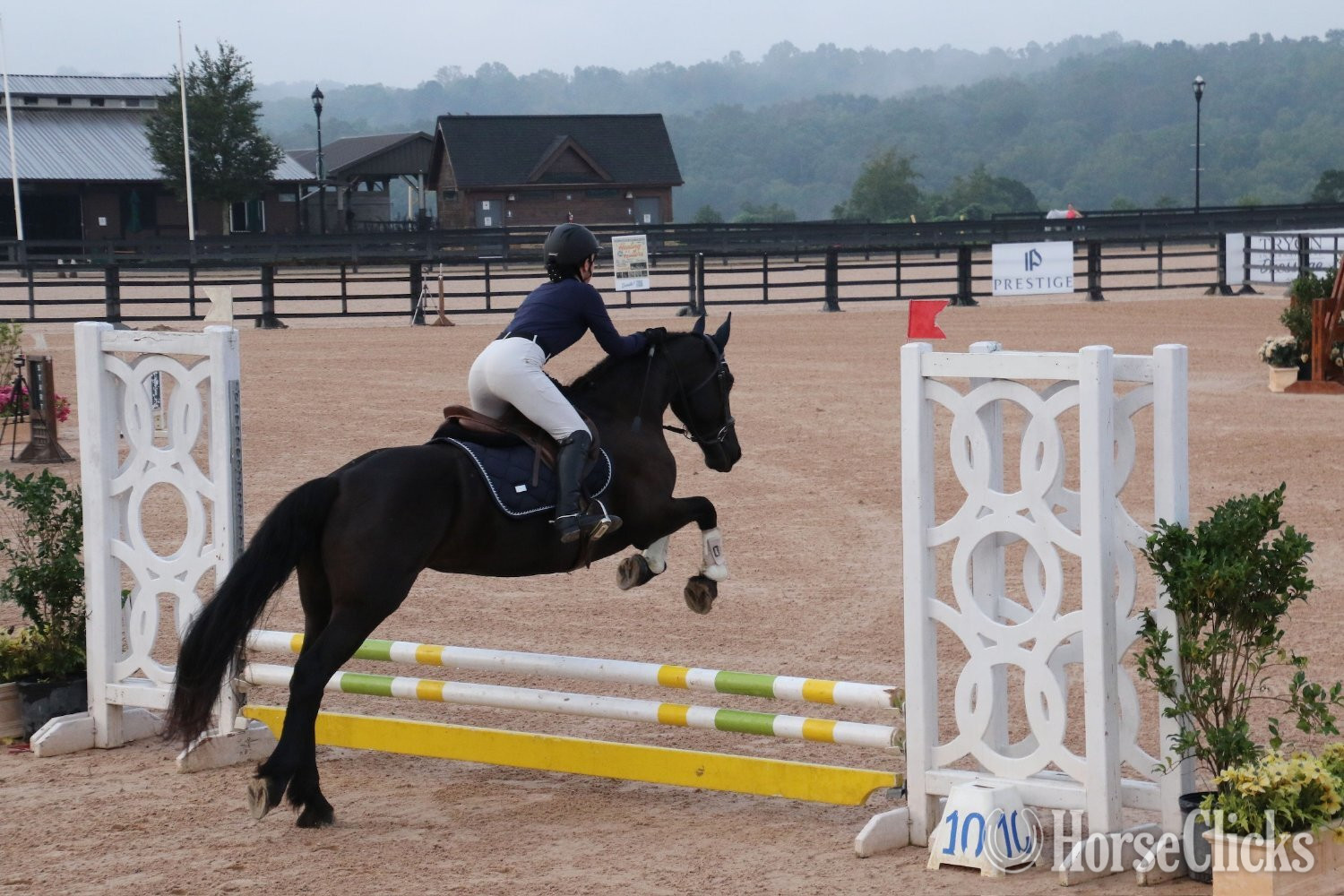 North Carolina "Keva" Black Mare Friesian