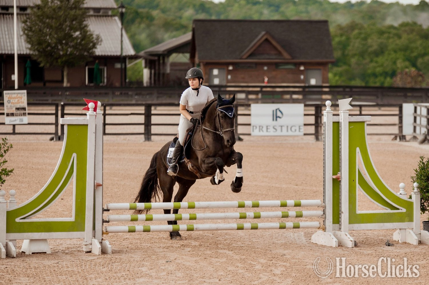 "Keva" Black Mare Friesian - Friesian in North Carolina