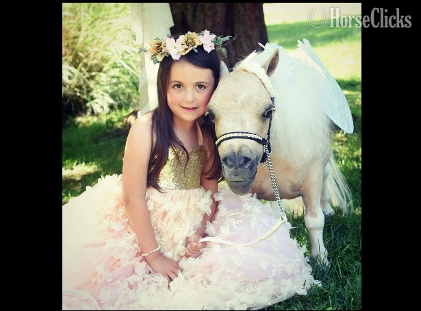 "Helpful Hints"  Mare American Miniature in Florida