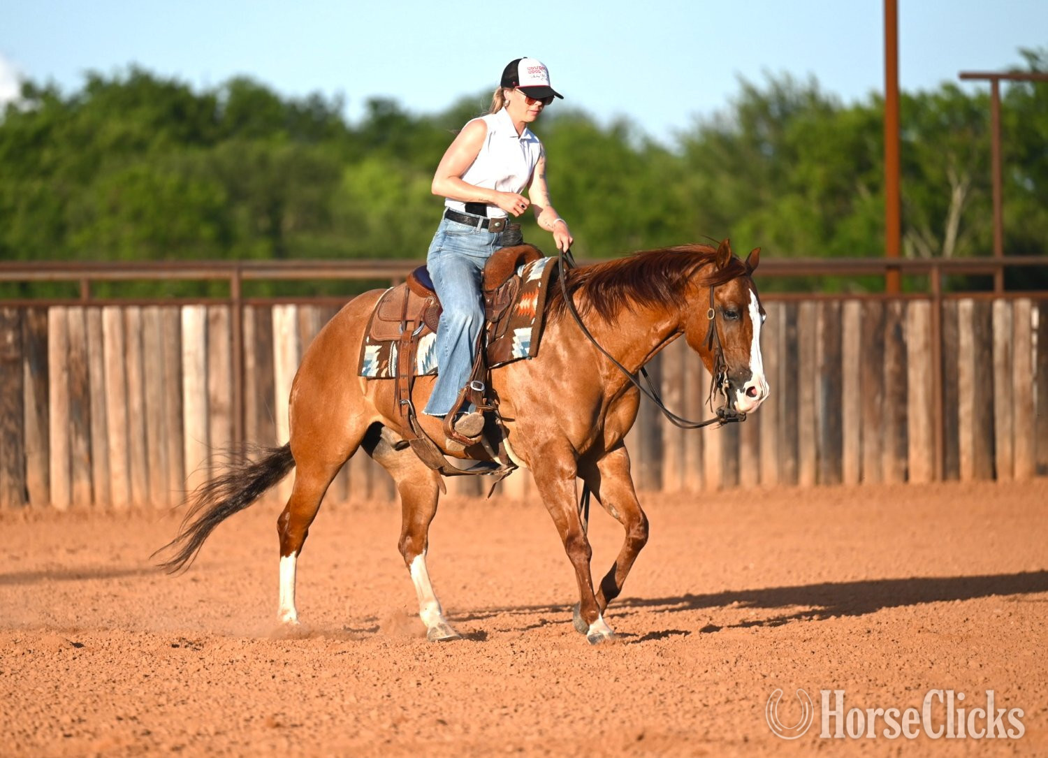 Texas "Jango" Dun Gelding Quarter Horse