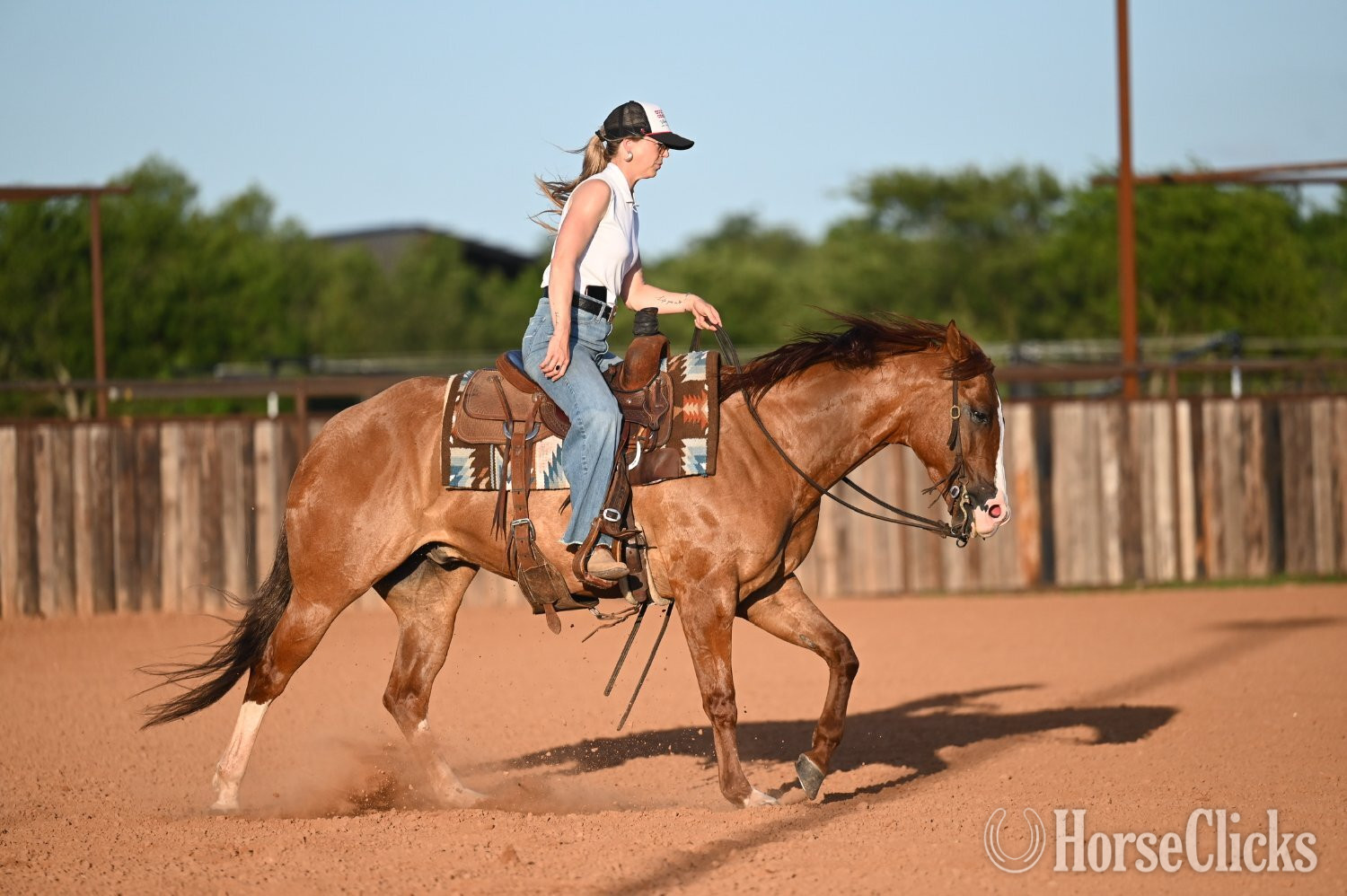 "Jango" Dun Gelding Quarter Horse - Quarter Horse in Texas