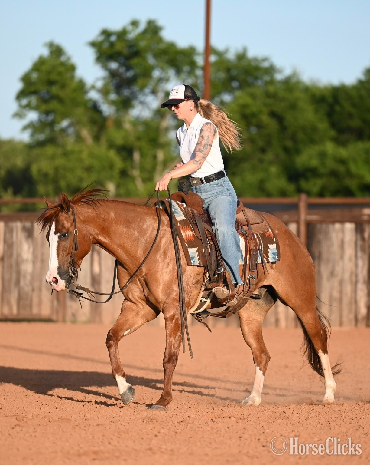 "Jango" Dun Gelding Quarter Horse - Quarter Horse
