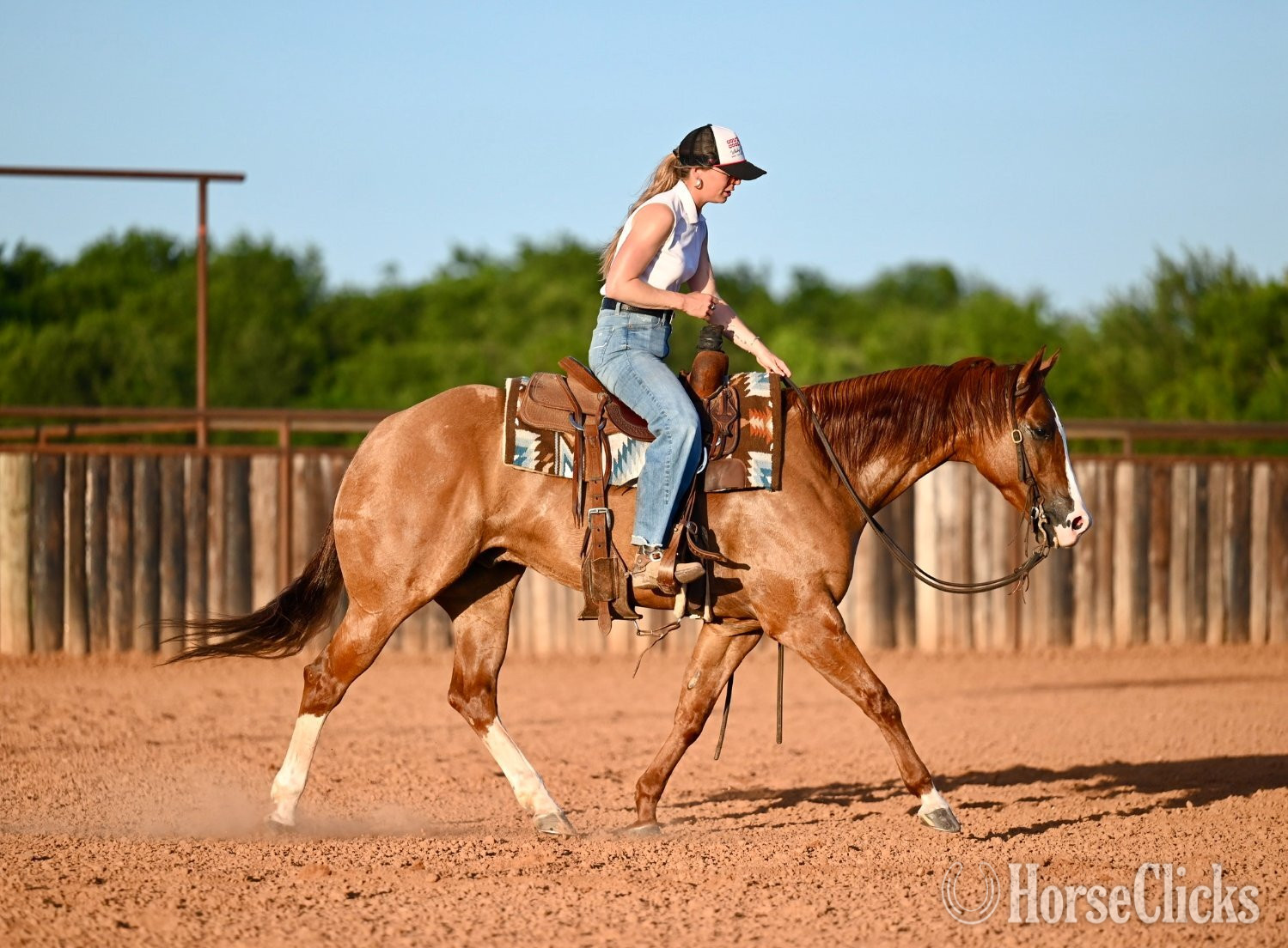 "Jango" Dun Gelding Quarter Horse Texas