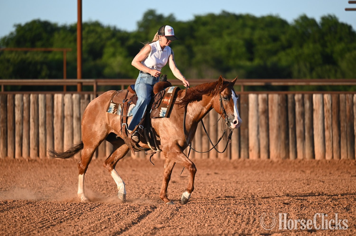 Quarter Horse - "Jango" Dun Gelding Quarter Horse in Texas