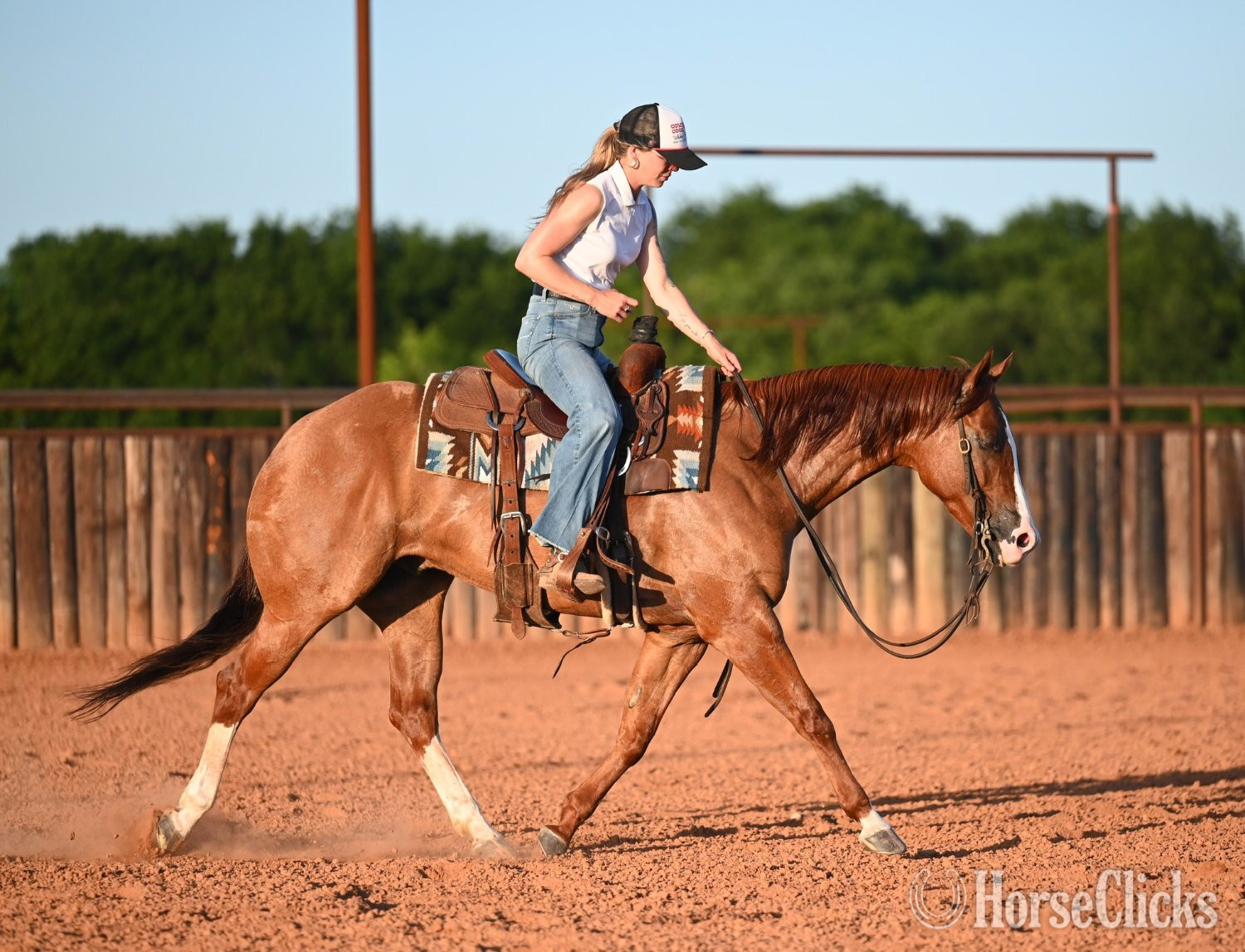 Quarter Horse - "Jango" Dun Gelding Quarter Horse