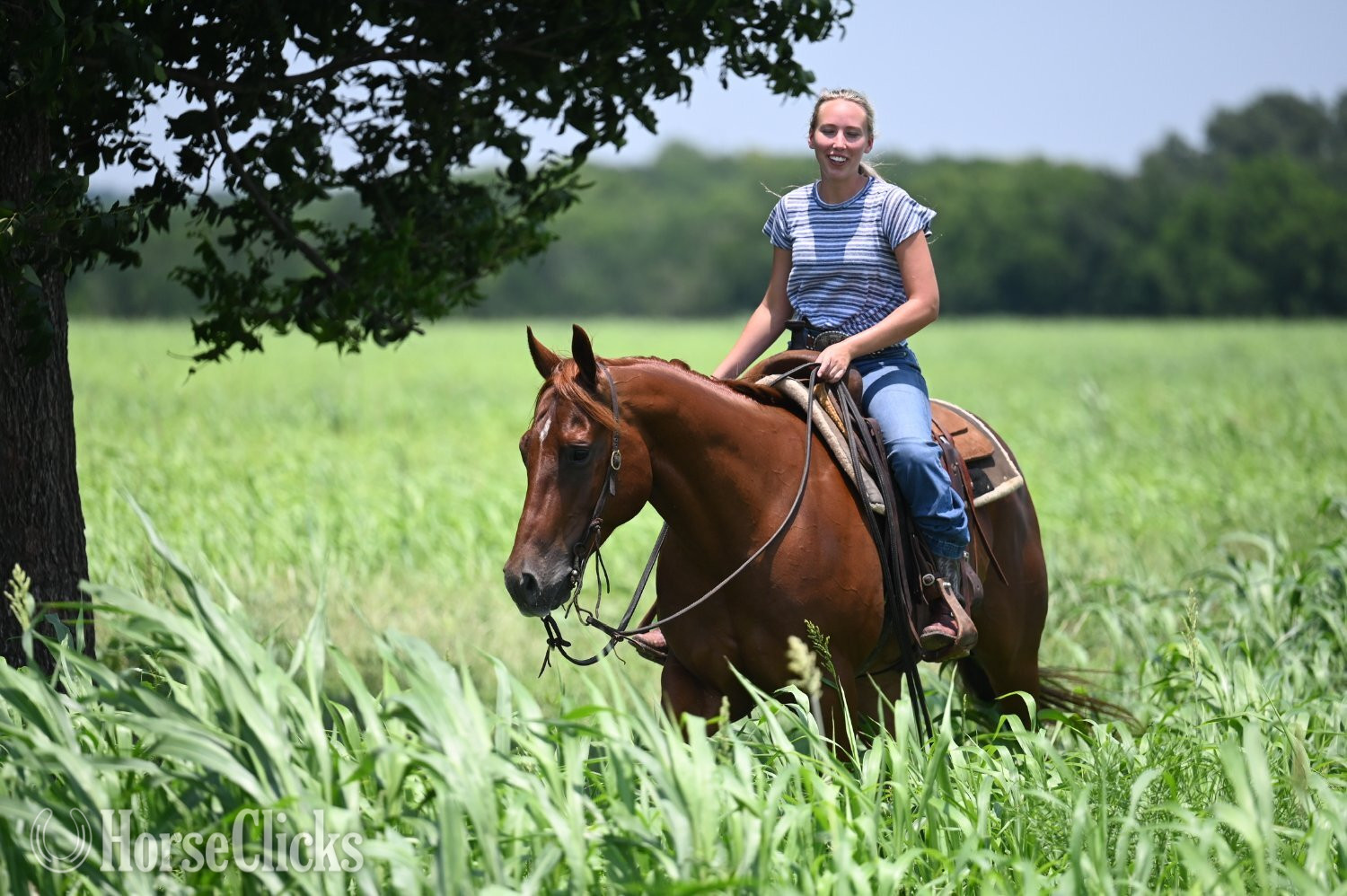 "Shag" Chestnut Gelding Quarter Horse - Quarter Horse in Texas