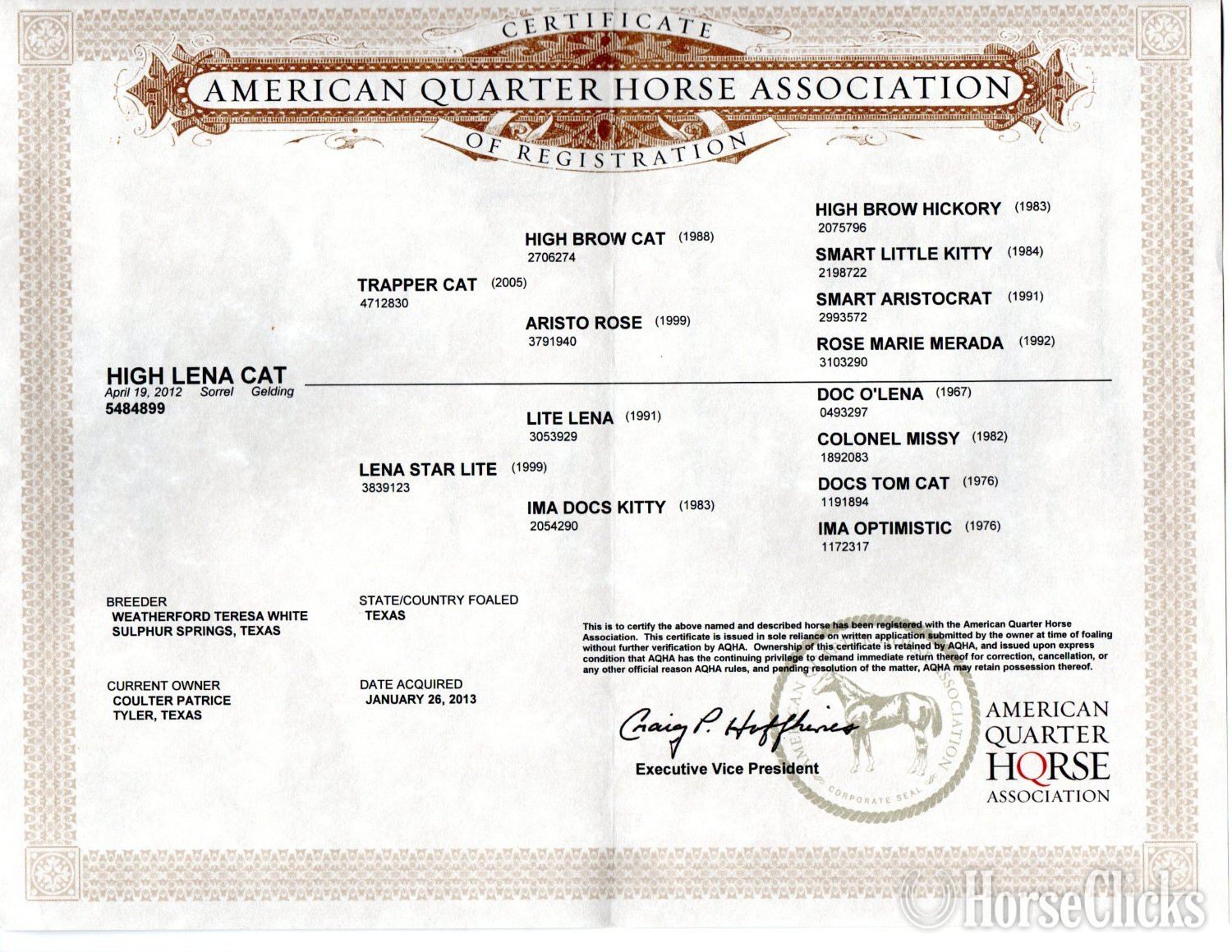"Ty (High Lena Cat)" Sorrel Gelding Quarter Horse