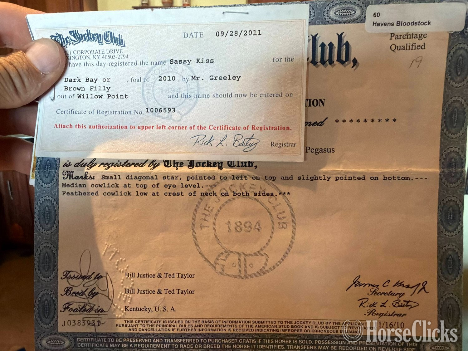 "Sassy Kiss" Bay Mare Thoroughbred California