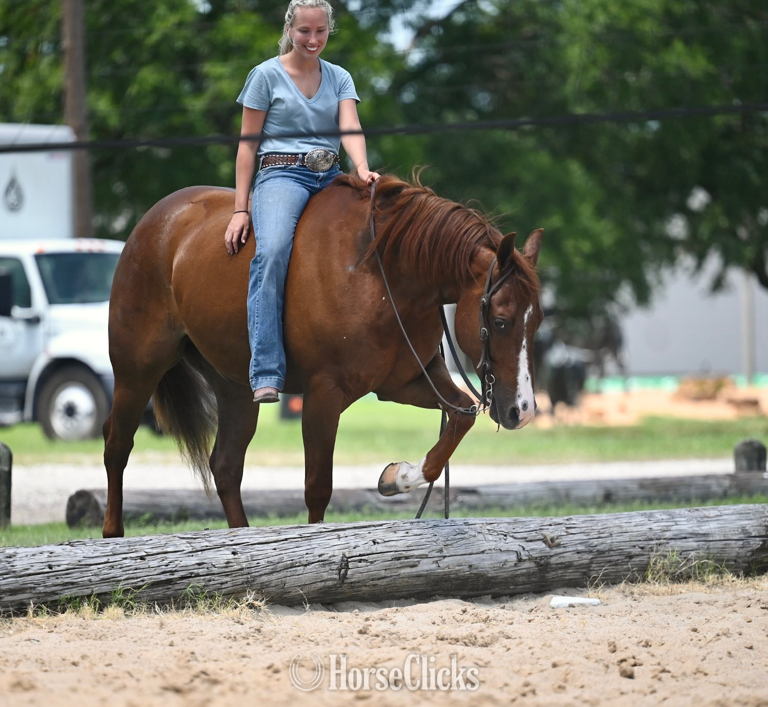 "Lariat" Chestnut Gelding Quarter Horse - Quarter Horse in Texas
