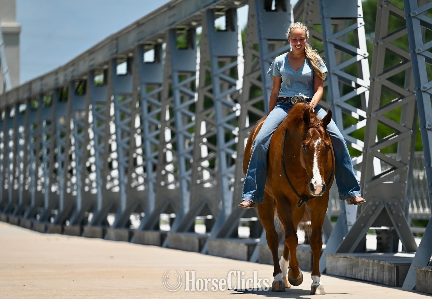 "Lariat" Chestnut Gelding Quarter Horse Texas