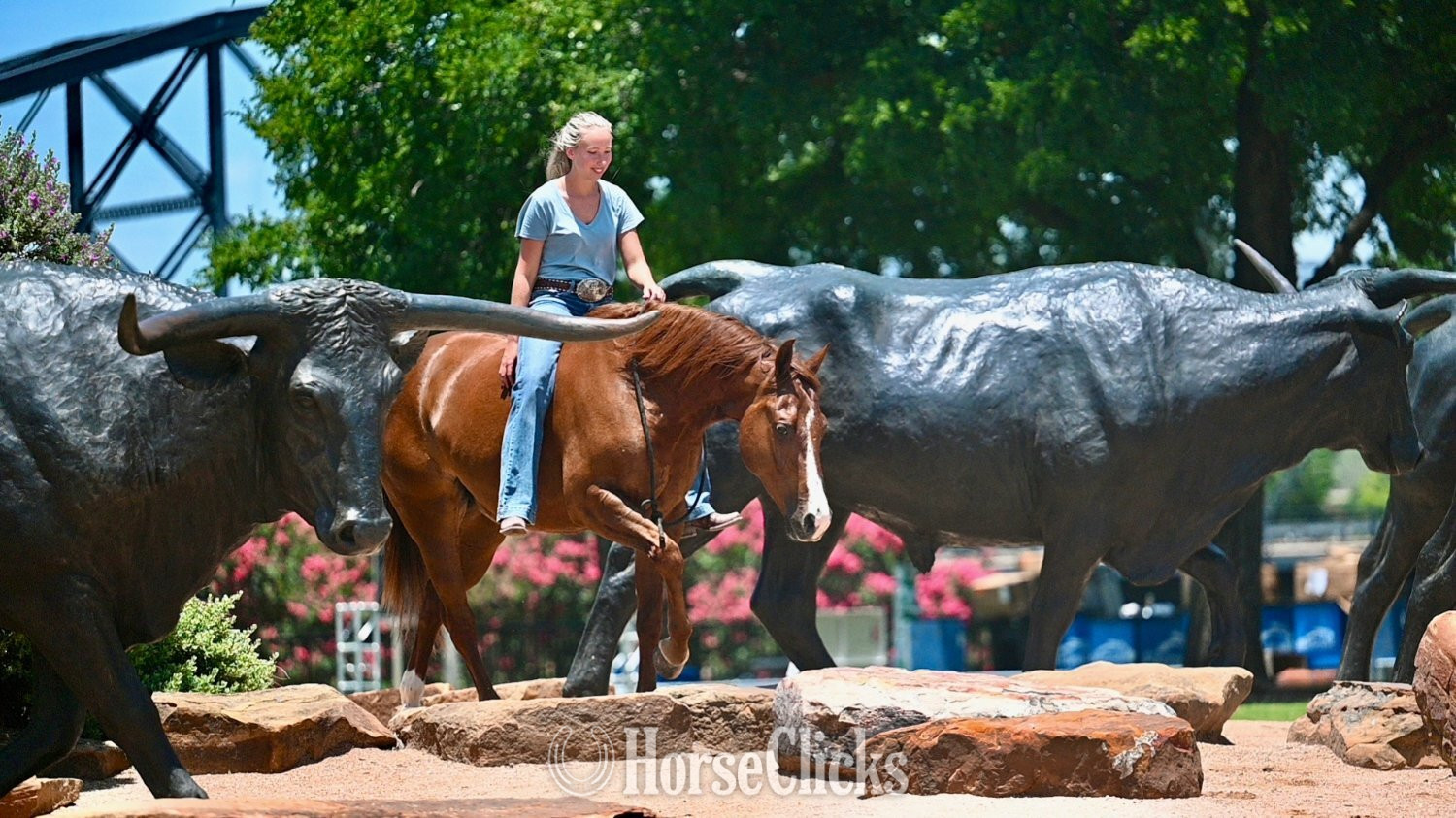 Quarter Horse - "Lariat" Chestnut Gelding Quarter Horse