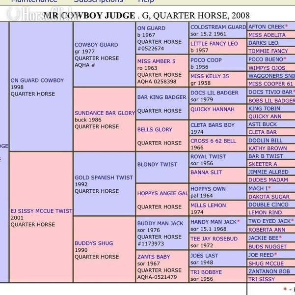 Quarter Horse - "Judge" Bay Roan Gelding Quarter Horse