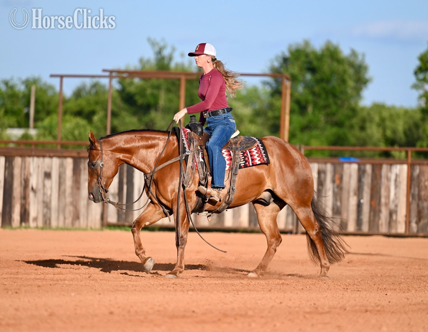 Texas "Jet Pack" Sorrel Gelding Quarter Horse
