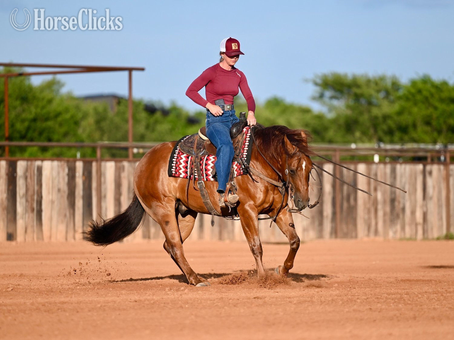 Quarter Horse - "Jet Pack" Sorrel Gelding Quarter Horse in Texas