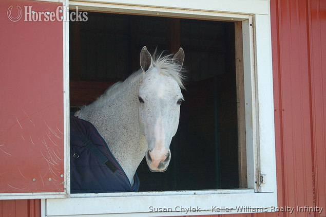 SOLD!!! Gorgeous 45 Stall Show Barn for sale in Illinois