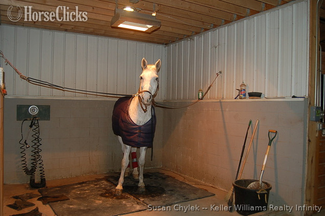SOLD!!! Gorgeous 45 Stall Show Barn for sale in Illinois - Farms