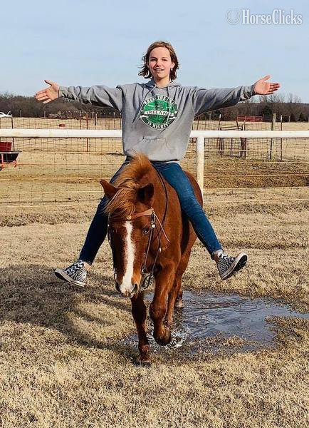 "Jimmy" Sorrel Gelding Quarter Horse Texas
